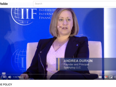 IIF’s Annual DC Policy Meeting